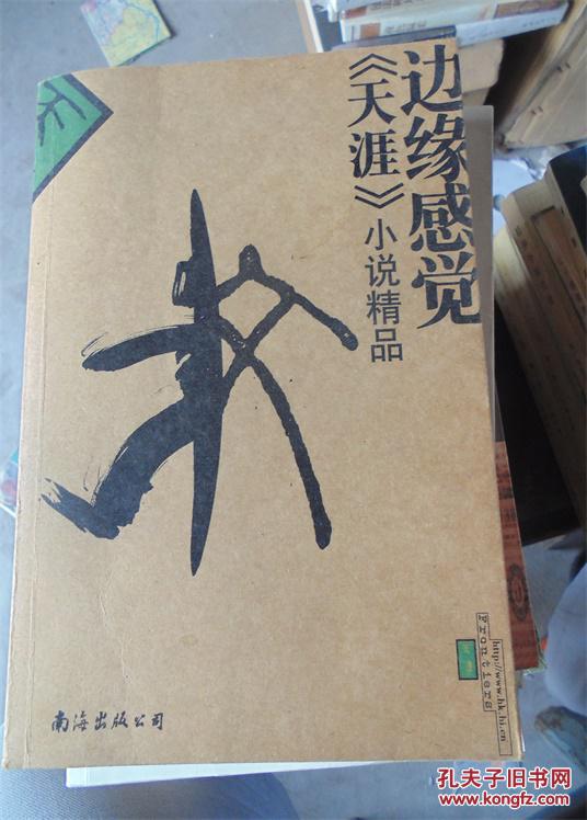 边缘感觉:《天涯》小说精品