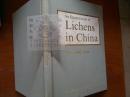 An enumeration of lichens in China/在中国枚举的地衣+