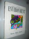 Environment 2nd Edition