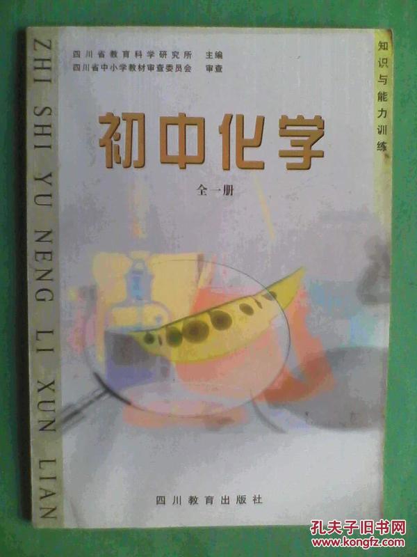 初中化学知识与能力训练全一册，初中化学教学参考，初中化学2002年第1版