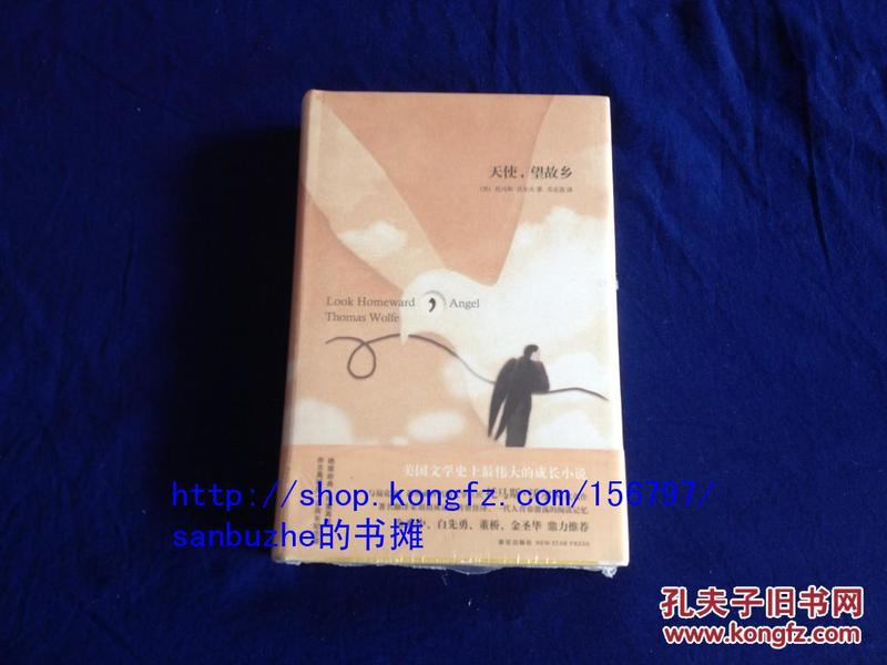 【个人收藏塑封未拆正版】天使，望故乡（托马斯·沃尔夫 著；乔志高 译）