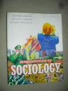 Introduction to Sociology 5th Edition