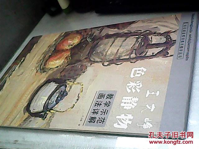 美院之路系列叢書：王文崢色彩靜物教學(xué)示范畫法詳解