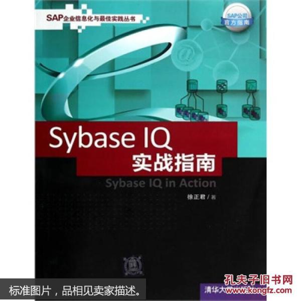 SAP企业信息化与最佳实践丛书：Sybase IQ 实战指南