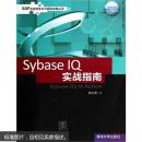 SAP企业信息化与最佳实践丛书：Sybase IQ 实战指南