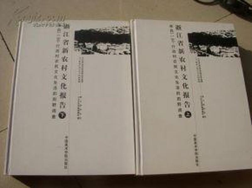 浙江省新农村文化报告--来自118个行政村农民文化生活的田野调查（上下）