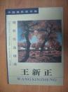王新正摄影作品精选