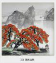 中国画山水一湖光山色(手绘国画68x68cm巳裱卡纸)佚名