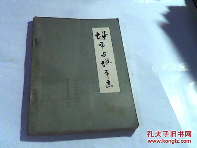 城市與城市志