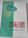 怎样画立体图（一版一印）
