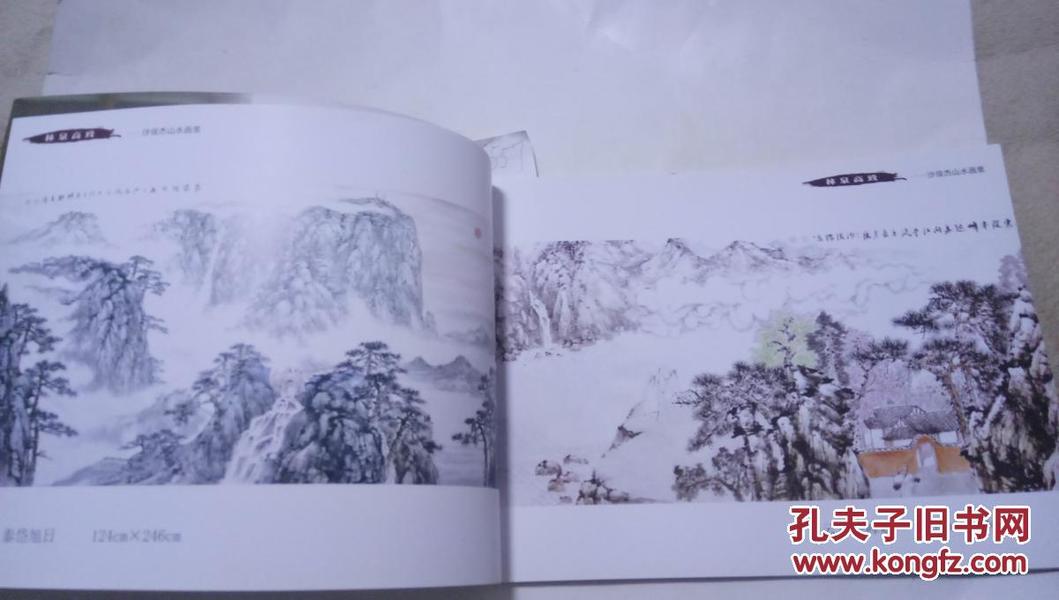 中国当代实力派书画名家 ：林泉高致——沙俊杰山水画集   F557
