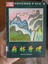 森林奇观
