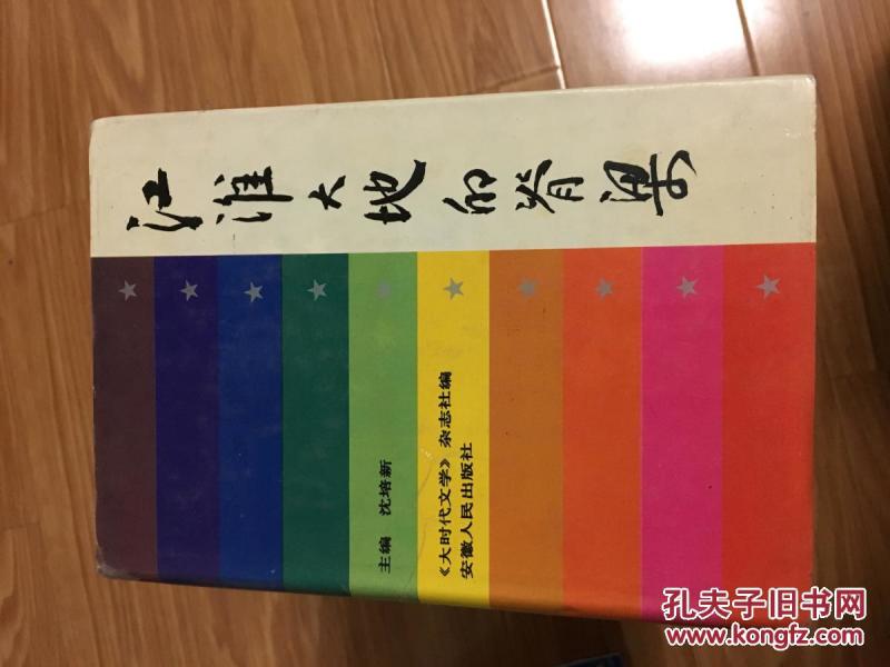 《江淮大地的脊梁》硬精装带护封！