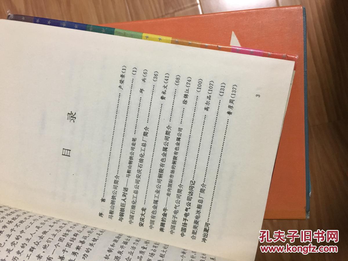 《江淮大地的脊梁》硬精装带护封！