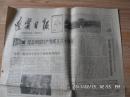 辽宁日报 1981年6月25日  4版