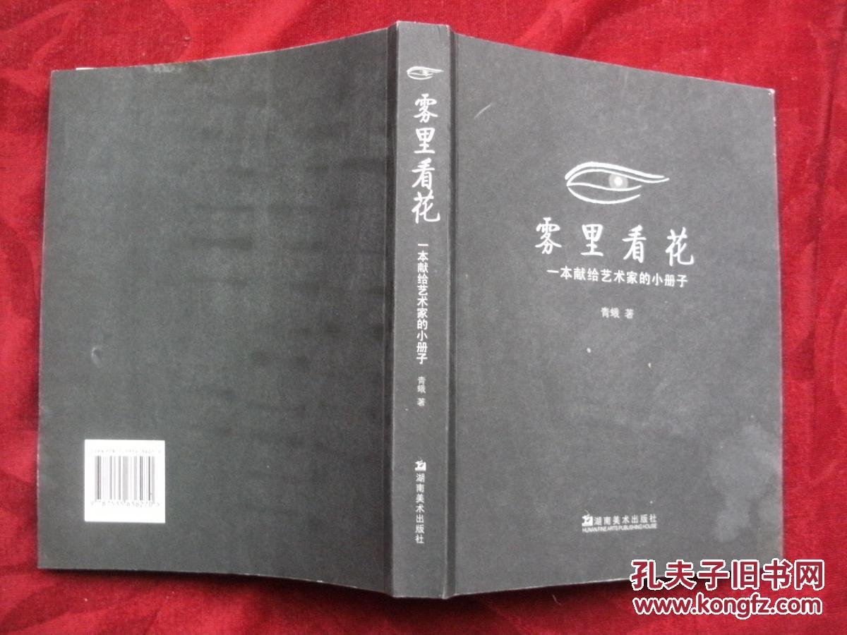 雾里看花：一本献给艺术家的小册子