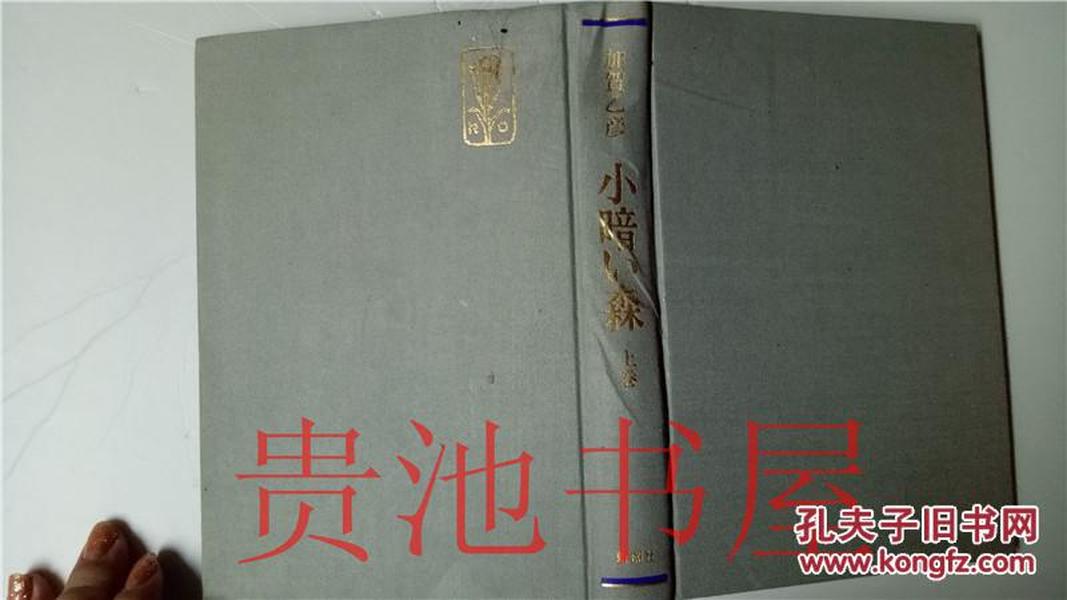 原版日本日文 小暗い森  上卷 加賀乙彥 新潮社1991年