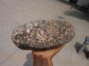 奇石；天然原石摆件石包石盆景艺术20厘米*14厘米*9厘米重约9市斤