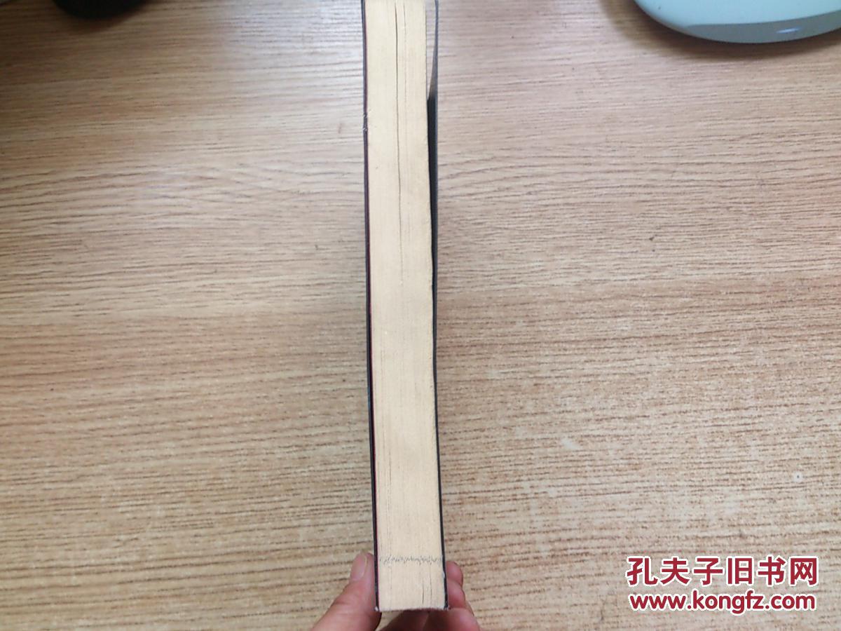 美丽的错误：市委高层的权力搏杀层