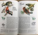 Reader's Digest Book of North American Birds: An Illustrated Guide to More Than 600 Species