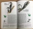 Reader's Digest Book of North American Birds: An Illustrated Guide to More Than 600 Species