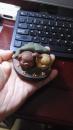 茶宠摆件（猪）