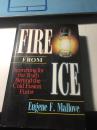 Fire.from.Ice -Searching for the Truth Behind.the Cold Fusion Furor 精装