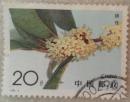 邮票桂花银桂1992-6(4-2)信销邮票