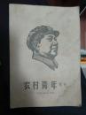 农村青年   1967年5月增刊