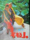 年轻人（1991年第3，4，5，6，7期）