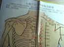 祥康百年养生堂足部疗法示意图   人体穴位主导的相关病情     （4开）A--17.02.07