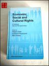 《Economic Social and Cultural Rights 》经济、社会和文化权利   A19