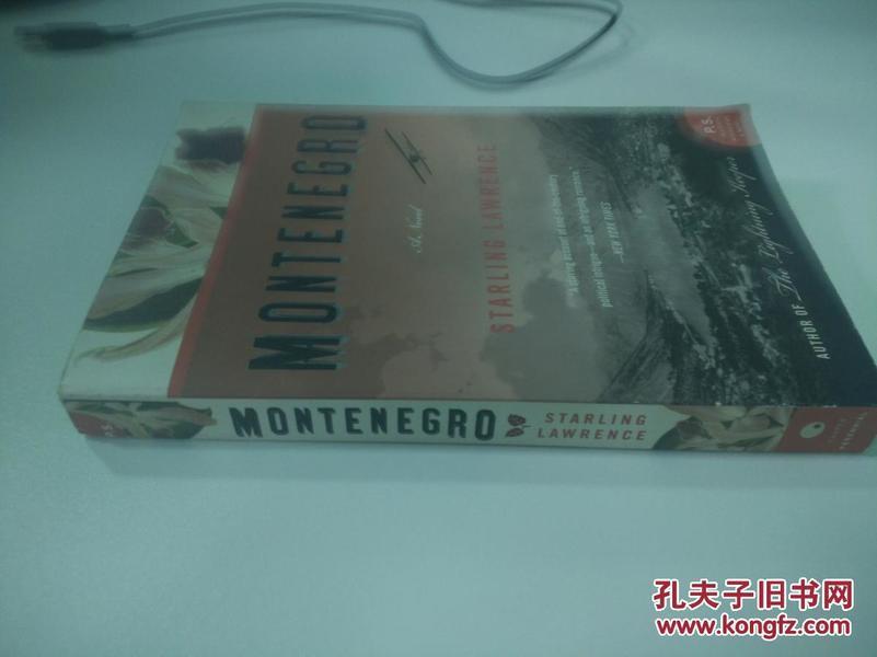 Montenegro: A Novel (P.S.)