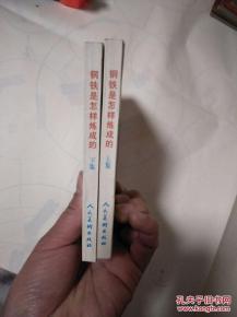 48开连环画：钢铁是怎样炼成的（上下集，2000年1版1印）