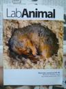 lab Animal Vol.42 No.7 2013/07 实验室动物原版外文杂志学术期刊