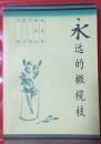 永远的橄榄枝