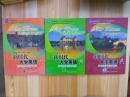 货号：A74   新时代大学英语（学习指导与同步测试）第二版  全三册