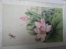 荷花蜻蜓