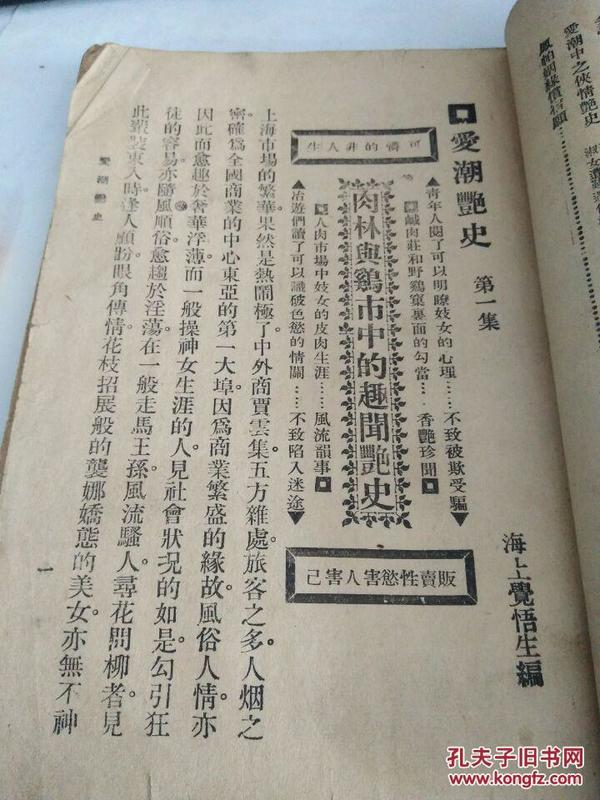 艳情小说 《爱潮艳史》海上觉悟生编