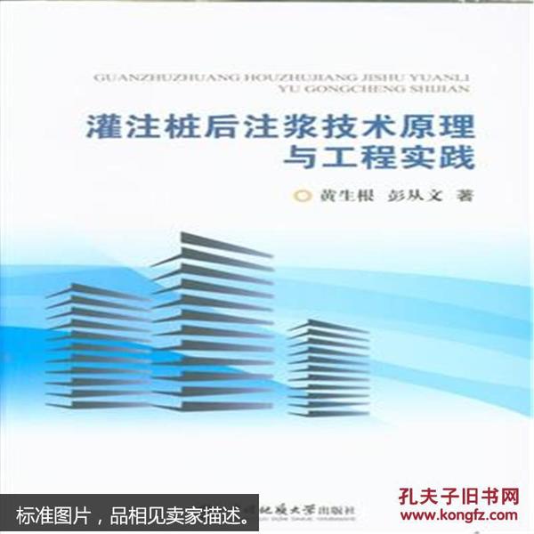 灌注桩后注浆技术原理与工程实践 黄生根,彭从文 中国地质大学出版社