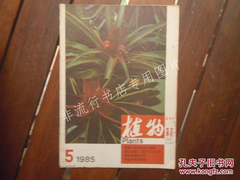 期刊杂志双月刊：植物1985年第5期