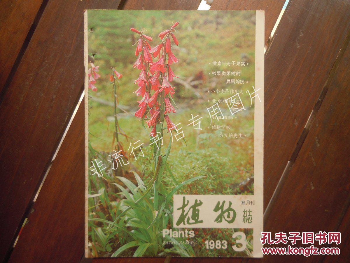 期刊杂志双月刊：植物1983年第3期