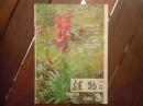 期刊杂志双月刊：植物1983年第3期