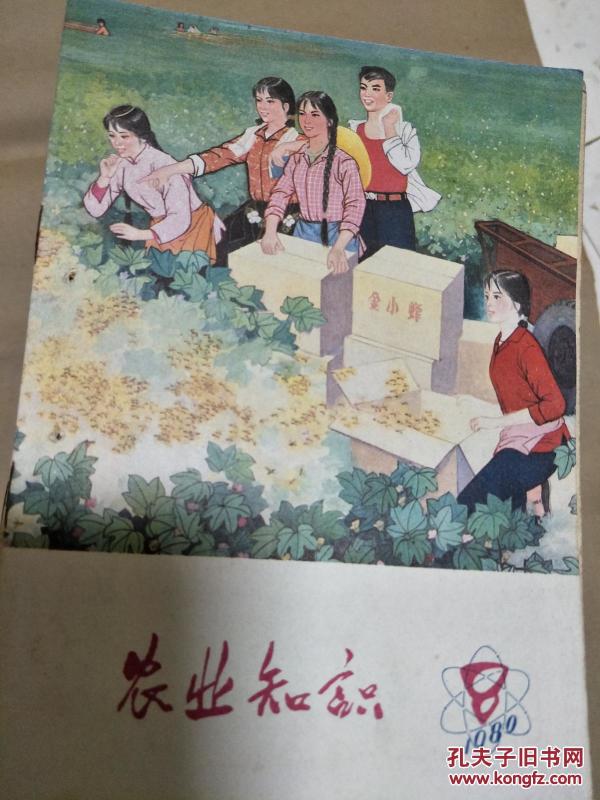 《农业知识》1980-8，封面封底图案精美，时代特色浓厚！