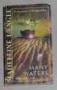 英文原版 Many Waters by Madeleine L'Engle 著