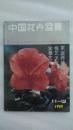 中国花卉盆景1989年11-12期合刊【本书照片】有现货请放心订购