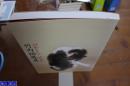 竹内栖凤展  近代日本画的巨人　2013年新版  大16开 215页  多图 包邮  现货！