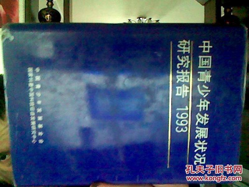 中国青少年发展状况研究报告：1993 硬精装版本