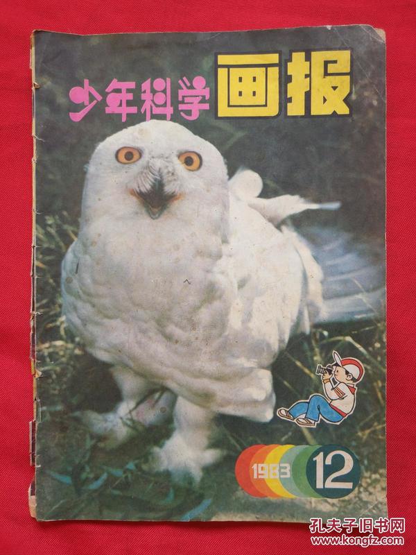 少年科学画报（1983年第12期）