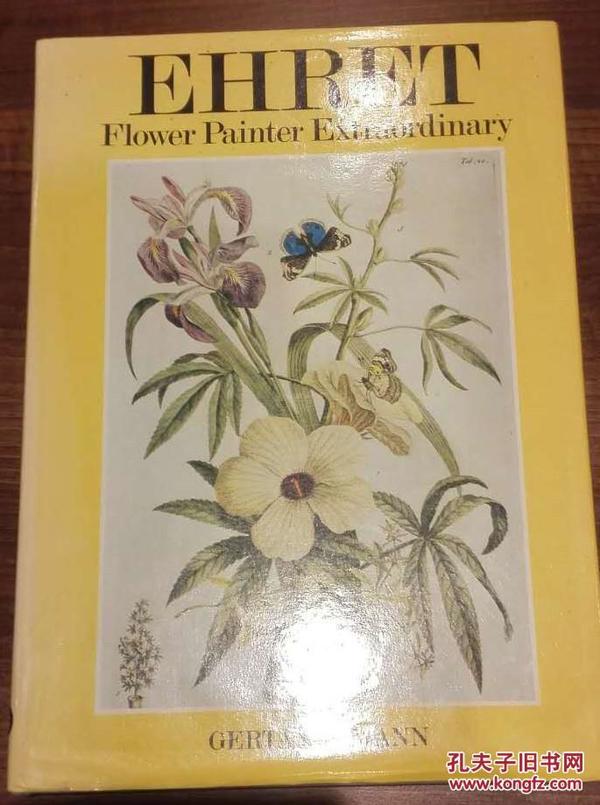 Ehret  Flower Painter Extraordinary